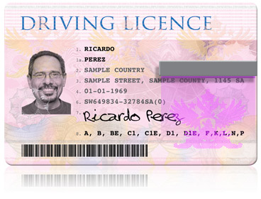laminated driver licences 