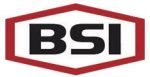 BSI Logo